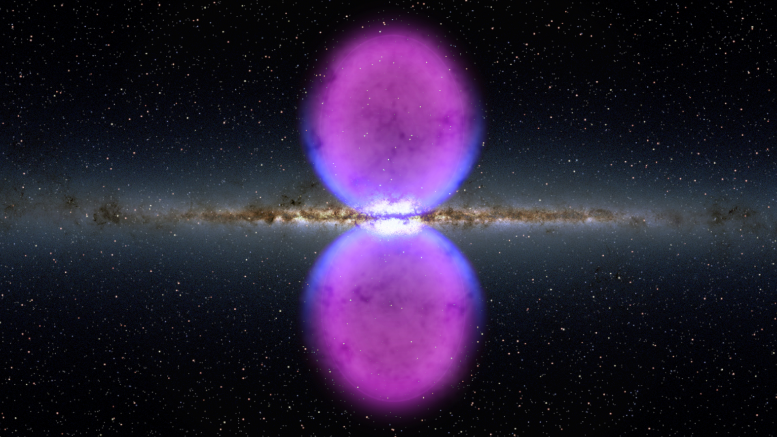 Contents of the Fermi Bubbles and Related Topics